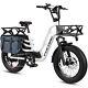 1000w Ebike 20 48v Removable Battery 4.0 All-terrain Electric Bicycle For Adult