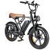 20 Fat Tire Electric Bike For Adults 750w Brushless Motor 48v 15ah Removable