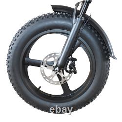 2000W Electric Bicycle 20Ah 48V Folding eBike 20 Fat Tire DEEPOWER H20Pro