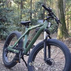 E-Bikes for adults BUY ONE GET ONE FREE