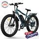 E-bike 26 750w 48v Electric Bike Mountain Beach City Bicycle Fattire For Adults