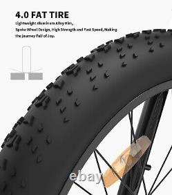 E-bike 26 750W 48V Electric Bike Mountain Bicycle Fat Tire 28mph for Adults