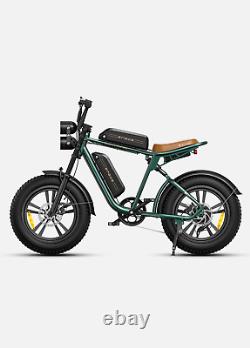 ENGWE 20 1000W(Peak) 48V Electric Bike Mountain Bicycle FatTire Ebike for Adult