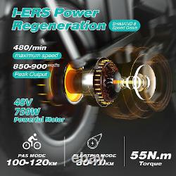 Electric Bike 20 1000W(Peak)48V20AH Mountain Bicycle Fat Tire, UL2849Certified