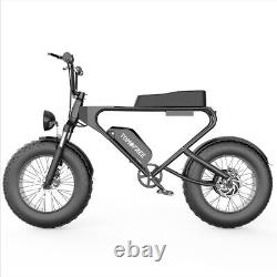 Electric Bike Bicycle Aldult Fat Tire E-bike 1200W 48V 20Ah 30mph Tomofree DK200