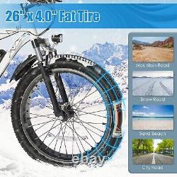 Electric Bike Fat Tire Snow Bicycle 500W Mountain Beach E-bike w. 12.5Ah Battery