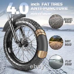 PASELEC 500W Electric Folding Bike 20'' Fat tire Bicycle Foldable Snow ebike Top