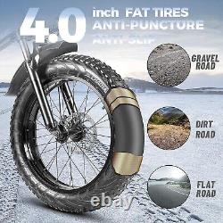 PASELEC 750W Peak Electric Folding Bike 20'' 4.0 Fat tire Bicycle e-bike MTB PX5