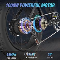 Ridstar eBike 20 1000W 48V/15Ah Electric Bike Bicycle Fat Tire MTB City Bike