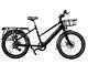 Unified Bike Odyssey + Cargo E-bike Throttle Stepthrough Easy